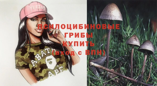 jwh Сосновоборск