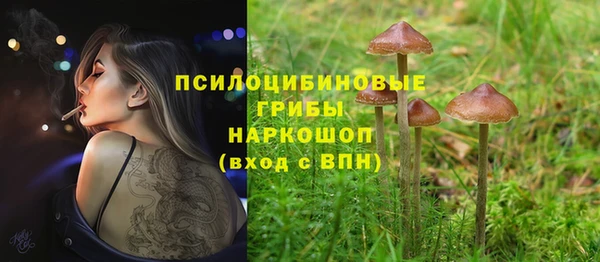 круглые Козловка