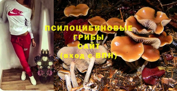 амфетамин Козельск