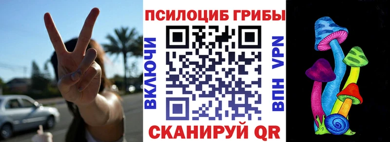 Псилоцибиновые грибы Cubensis  Купить где  Армянск 